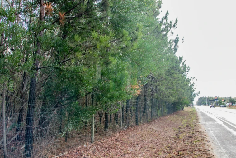 Terreno para Venda em Marinha das Ondas Foto 13