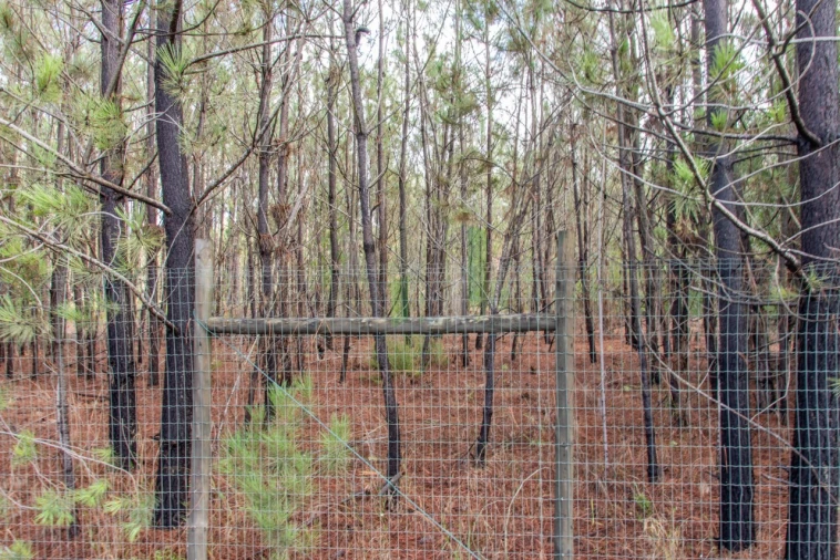 Terreno para Venda em Marinha das Ondas Foto 14