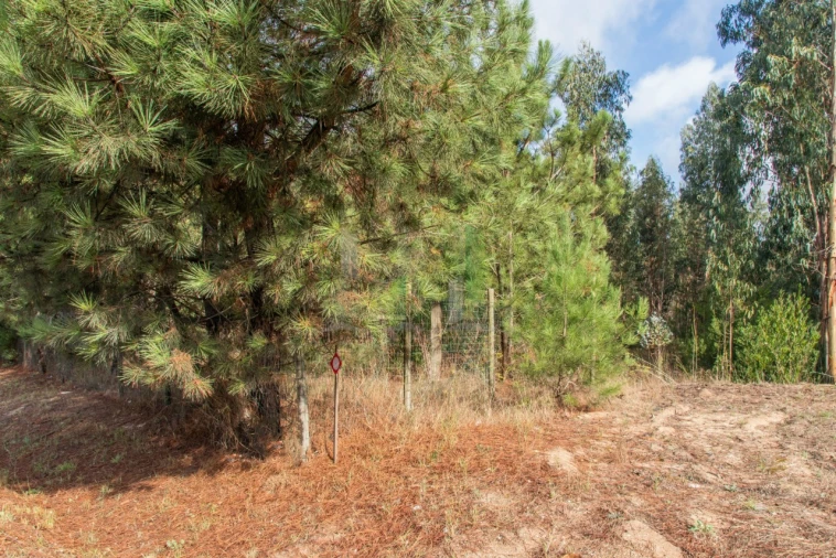 Terreno para Venda em Marinha das Ondas Foto 17