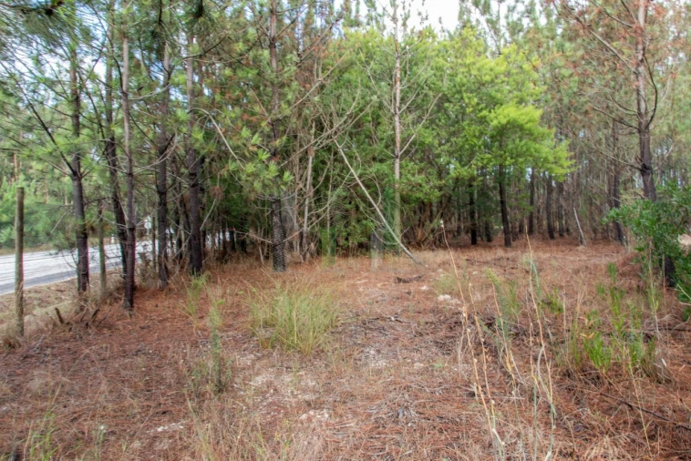 Terreno para Venda em Marinha das Ondas Foto 18