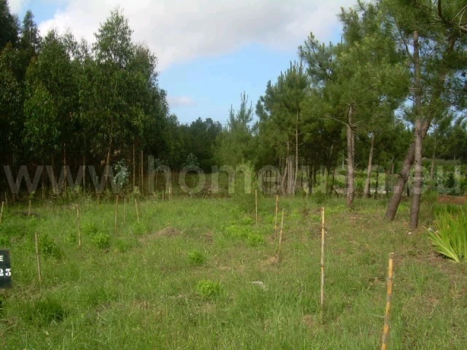 Terreno para Venda em Lavos Foto 2