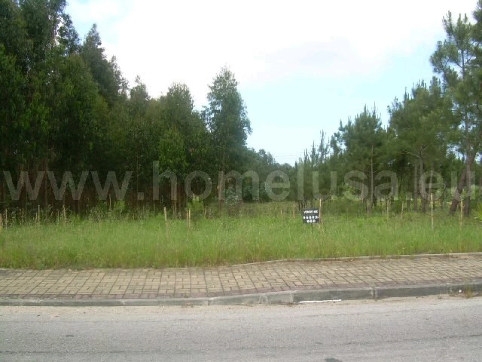 Terreno para Venda em Lavos Foto 3