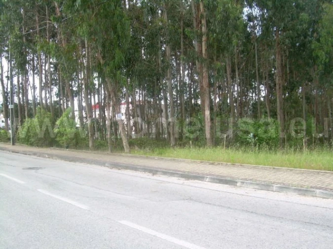 Terreno para Venda em Lavos Foto 4