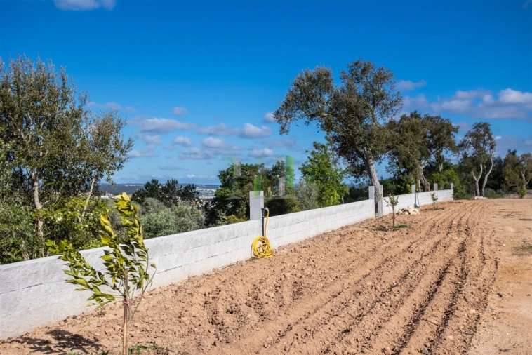 Terreno para Venda em Montemor-O-Velho e Gatões Foto 13
