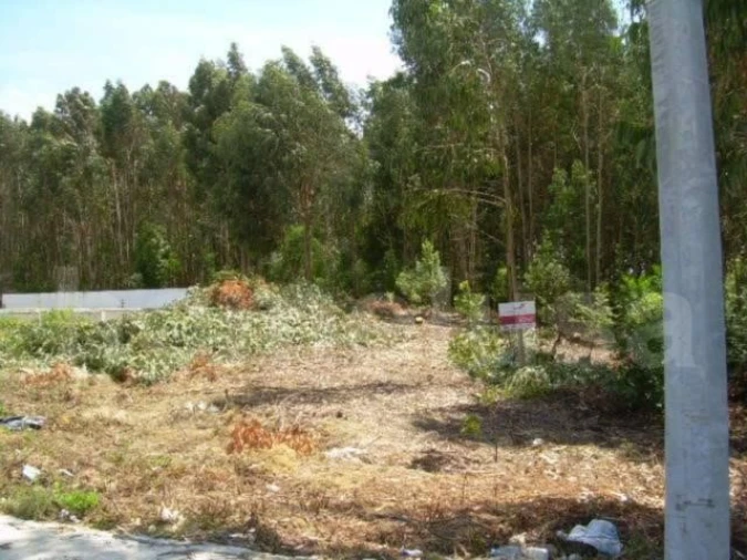 Terreno para Venda em Lavos Foto 6