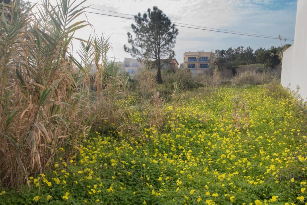 Terreno para Venda em Buarcos Foto 4