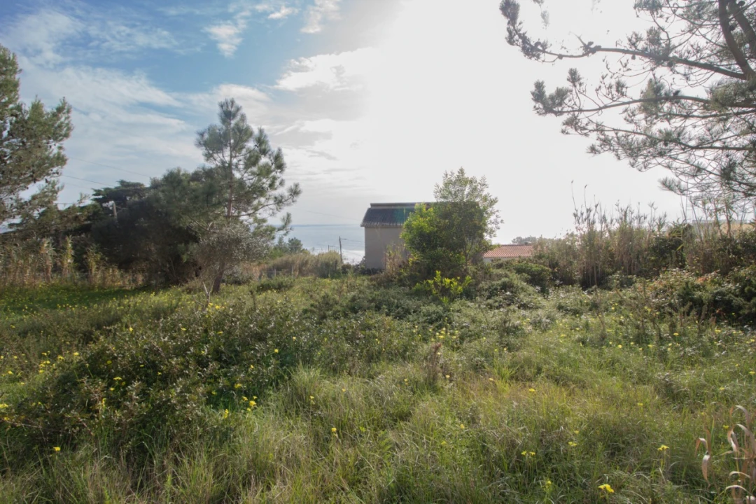 Terreno para Venda em Buarcos Foto 6