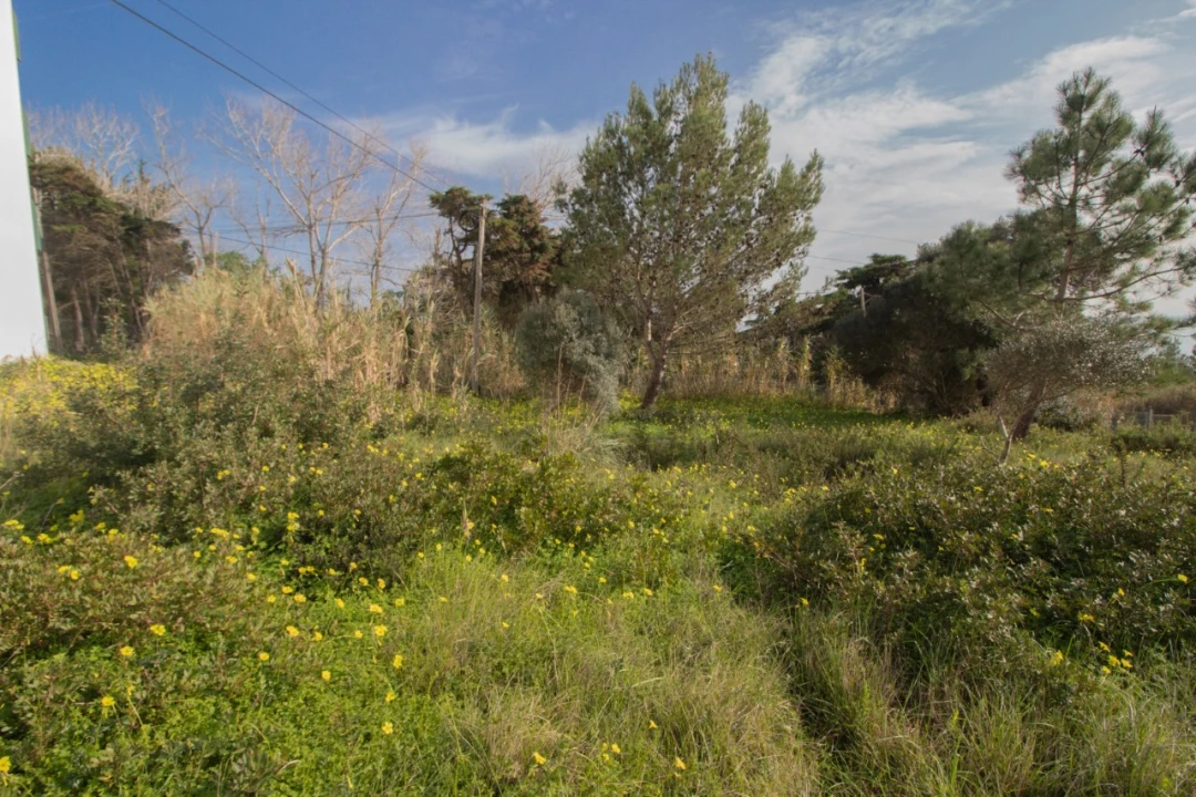 Terreno para Venda em Buarcos Foto 7