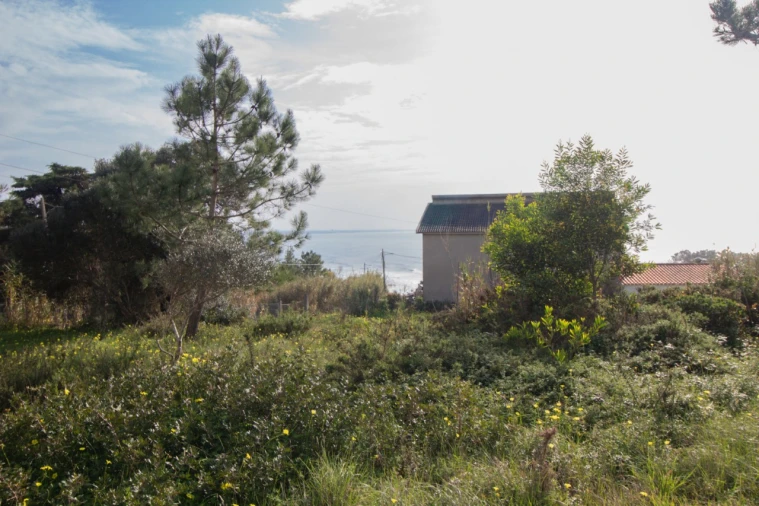 Terreno para Venda em Buarcos Foto 5