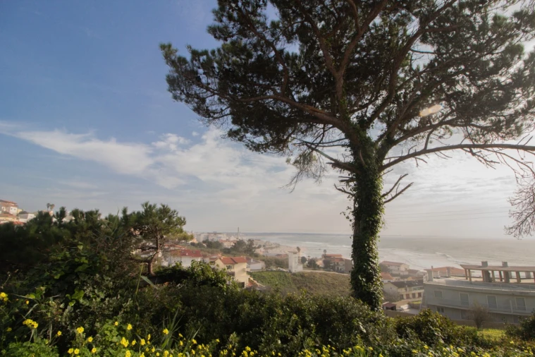 Terreno para Venda em Buarcos Foto 10