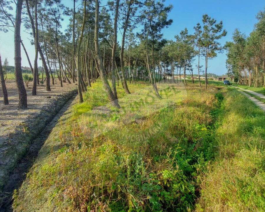 Terreno para Venda em Marinha das Ondas Foto 9