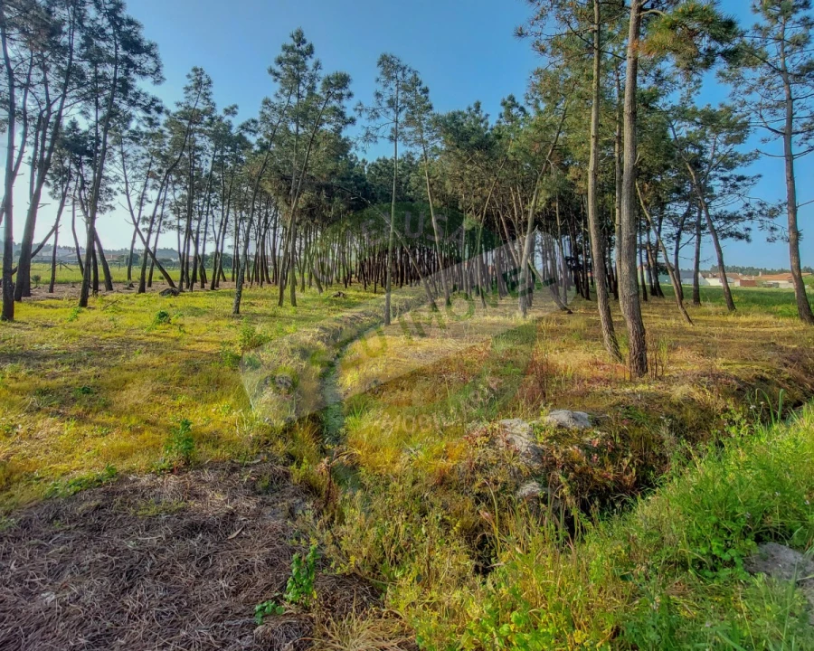 Terreno para Venda em Marinha das Ondas Foto 13