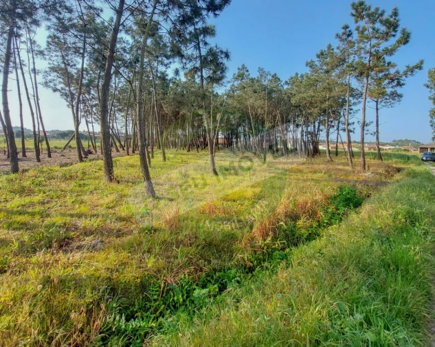 Terreno para Venda em Marinha das Ondas Foto 10