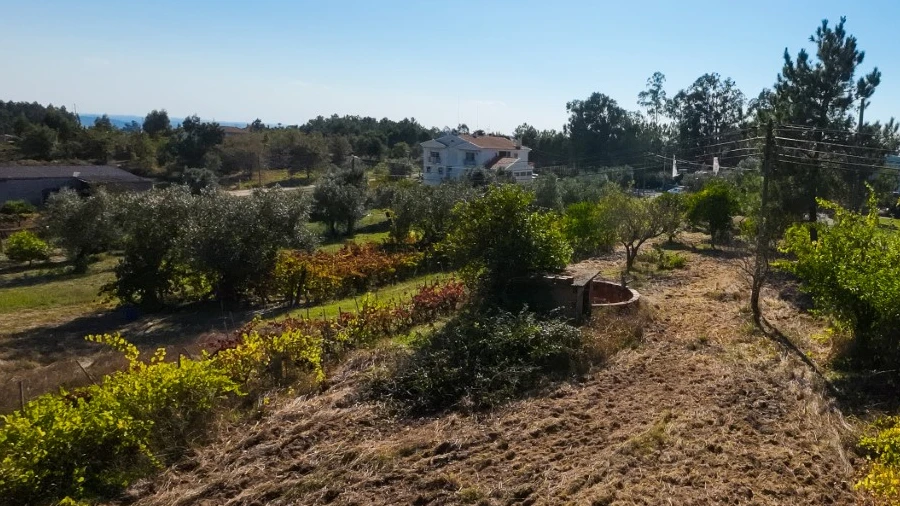 Terreno para Venda em Carapinheira