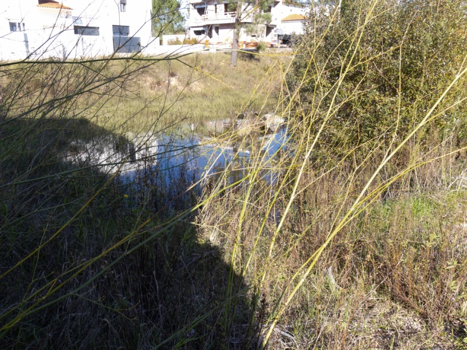 Terreno para Venda em Ançã Foto 3