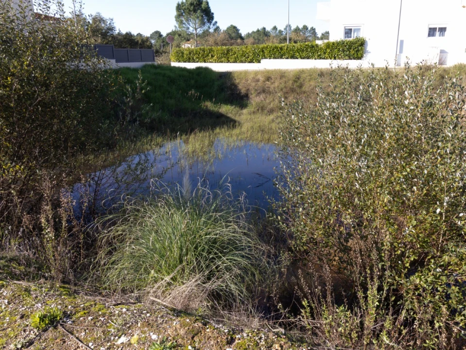 Terreno para Venda em Ançã Foto 2