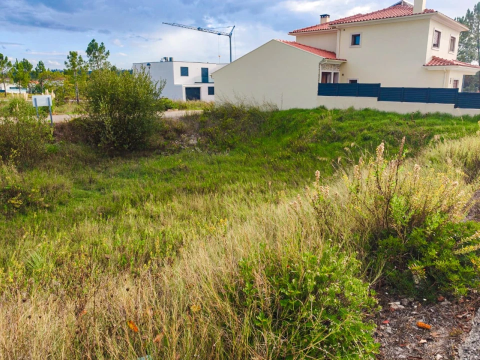 Terreno para Venda em Ançã Foto 1
