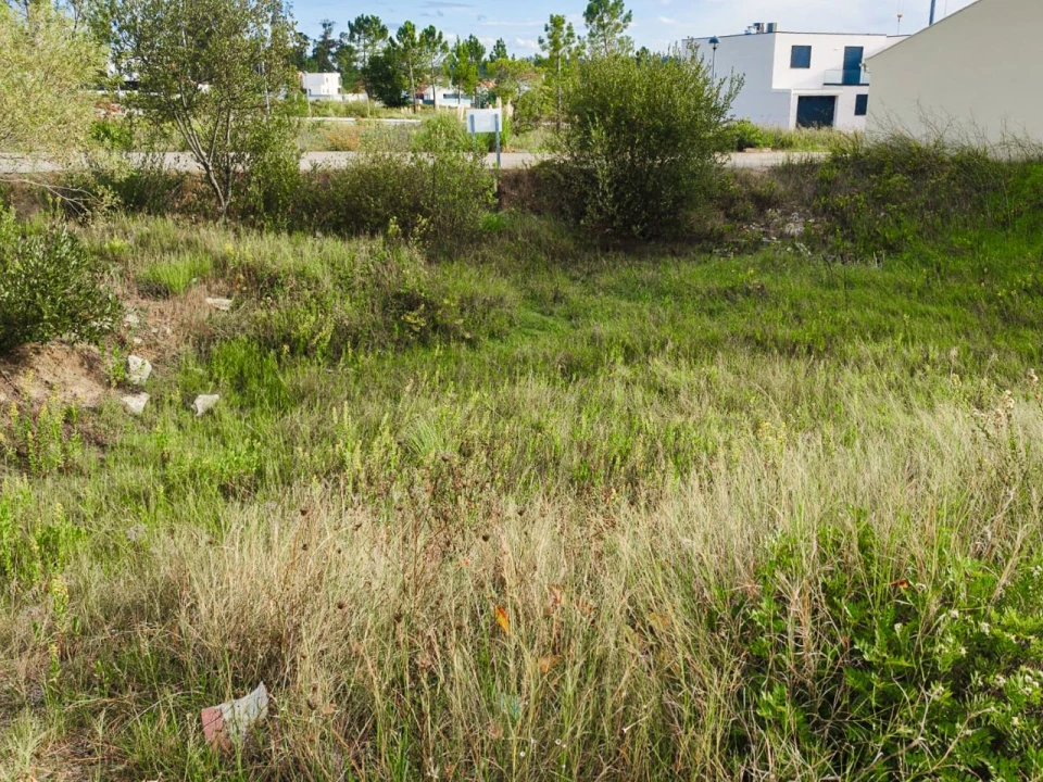 Terreno para Venda em Ançã Foto 6