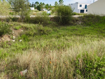 Terreno para Venda em Ançã