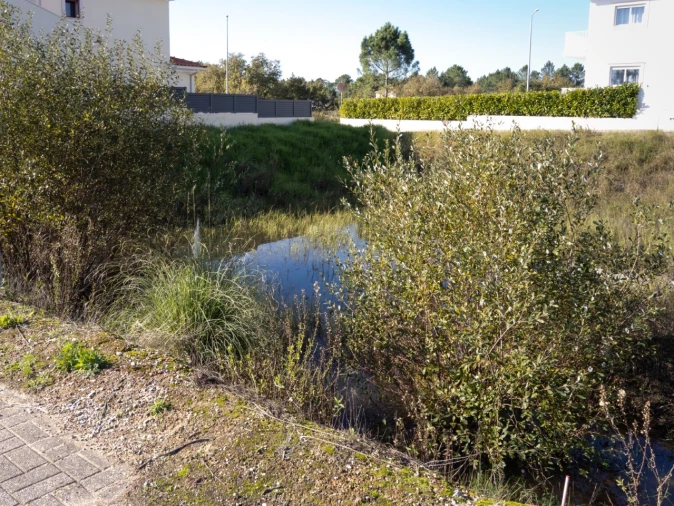 Terreno para Venda em Ançã Foto 4