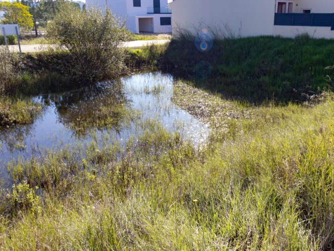 Terreno para Venda em Ançã Foto 7