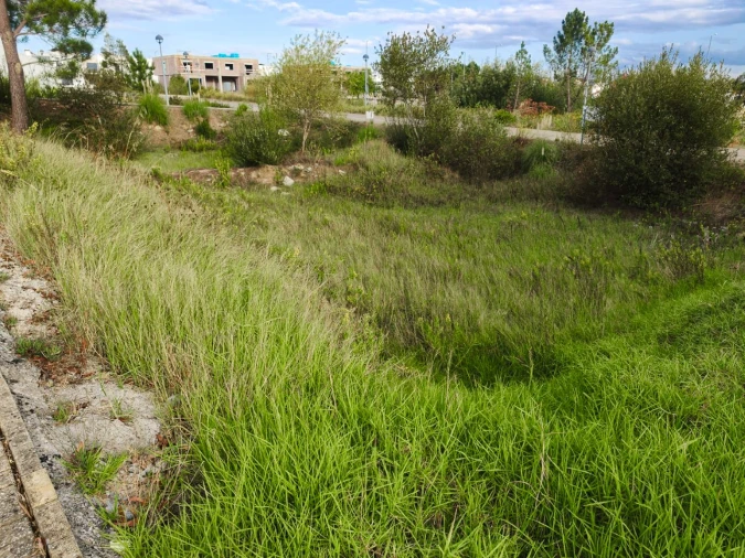 Terreno para Venda em Ançã Foto 3