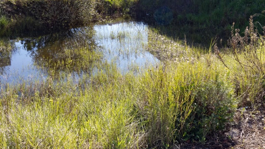 Terreno para Venda em Ançã