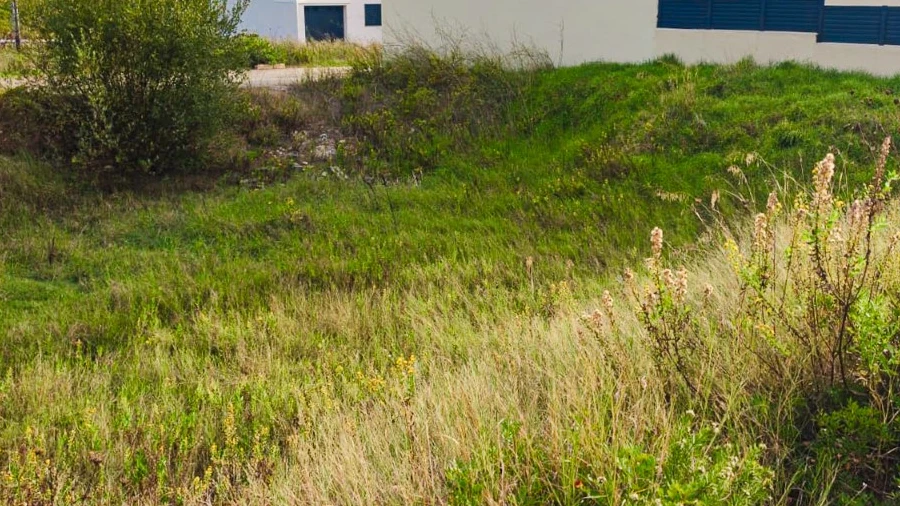 Terreno para Venda em Ançã