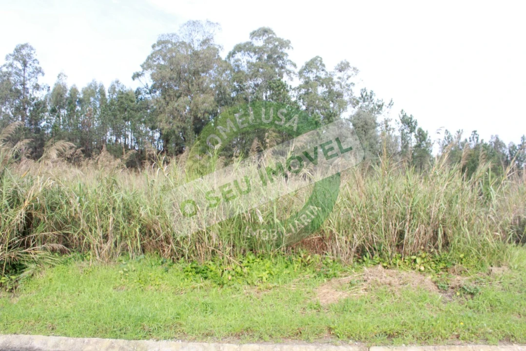 Terreno para Venda em Montemor-O-Velho e Gatões Foto 5