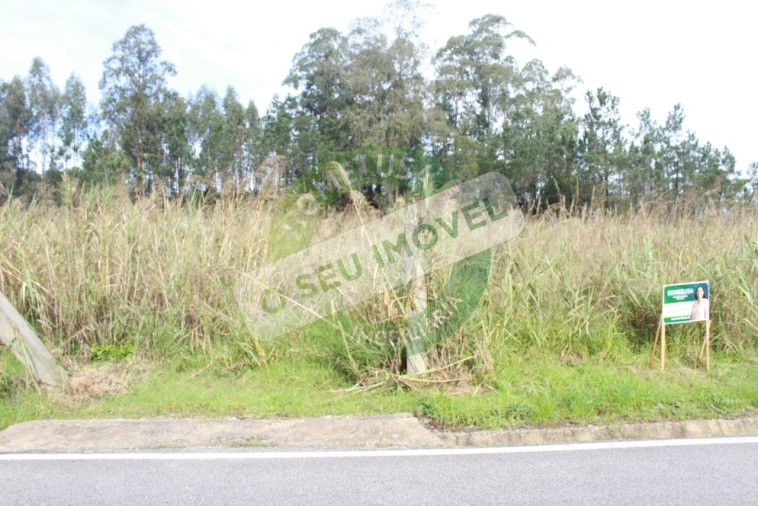 Terreno para Venda em Montemor-O-Velho e Gatões Foto 4