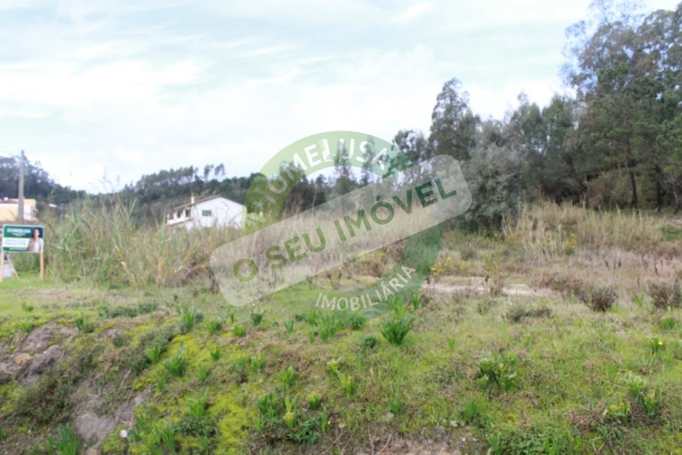 Terreno para Venda em Montemor-O-Velho e Gatões Foto 7