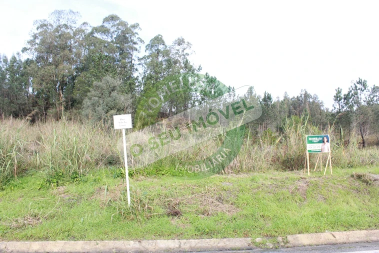 Terreno para Venda em Montemor-O-Velho e Gatões Foto 9