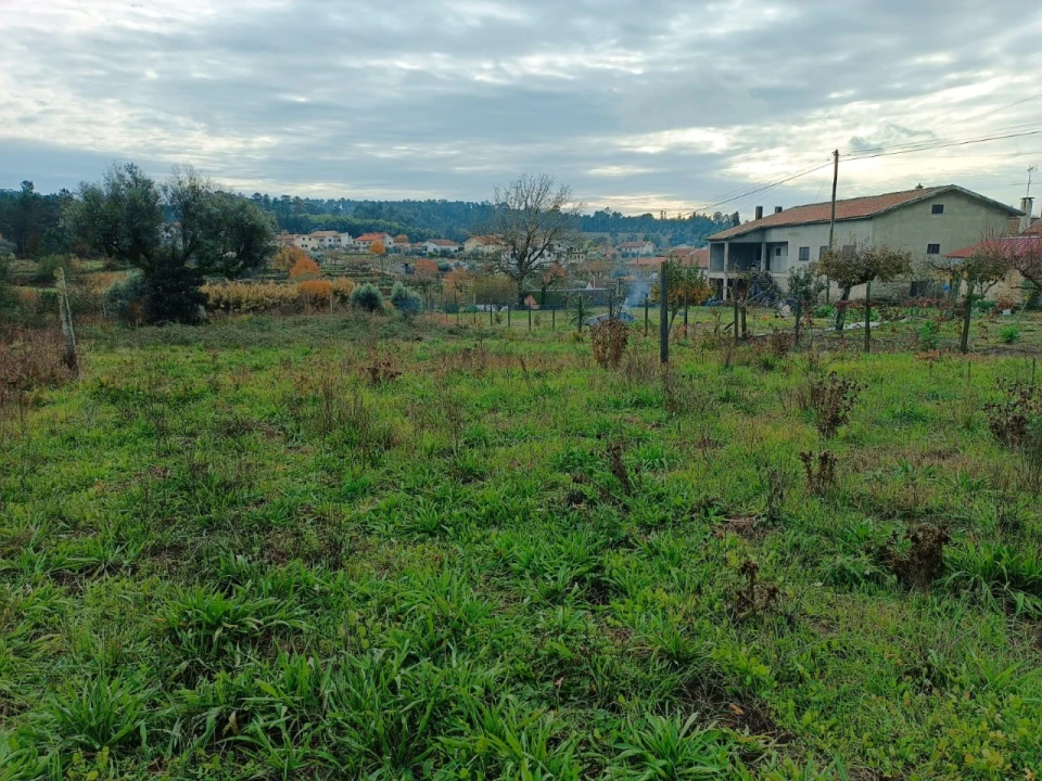 Terreno para Venda em Santar e Moreira Foto 6