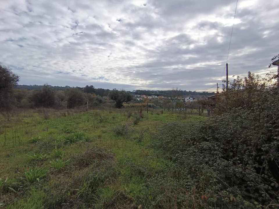 Terreno para Venda em Santar e Moreira Foto 8