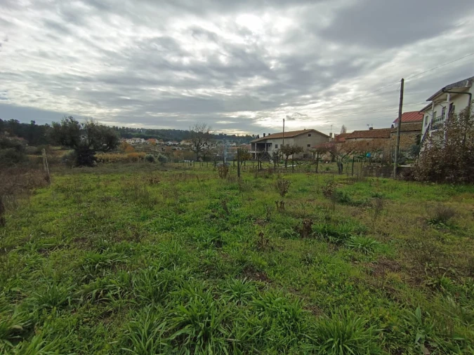 Terreno para Venda em Santar e Moreira Foto 5