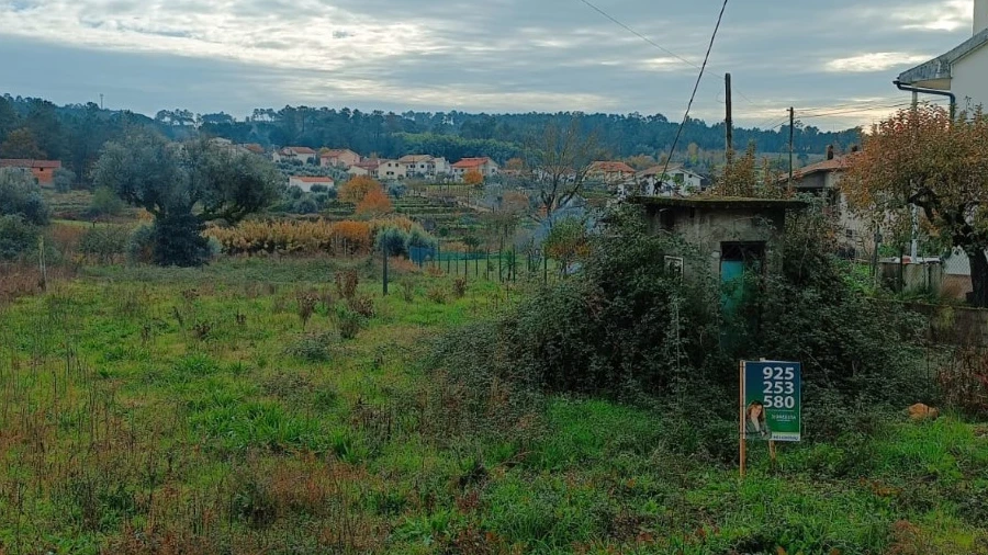 Terreno para Venda em Santar e Moreira
