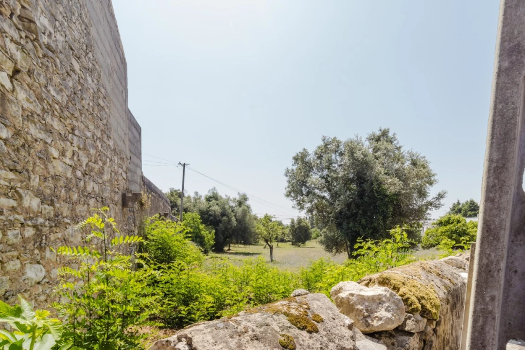 Terreno para Venda em Portunhos e Outil Foto 10