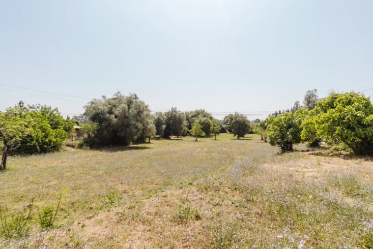 Terreno para Venda em Portunhos e Outil Foto 3
