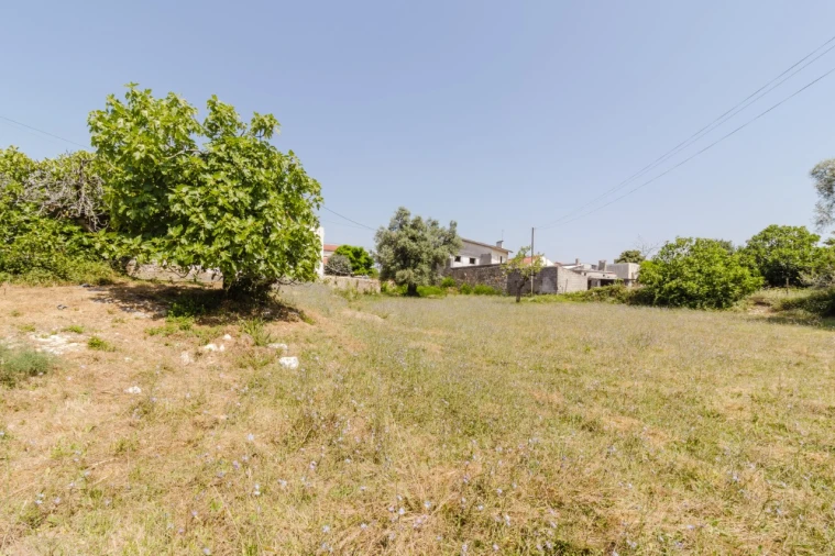 Terreno para Venda em Portunhos e Outil Foto 7