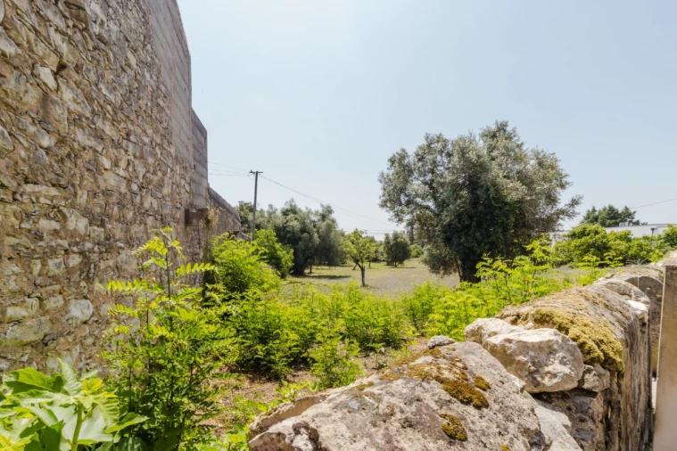 Terreno para Venda em Portunhos e Outil Foto 8
