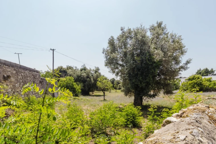 Terreno para Venda em Portunhos e Outil Foto 11