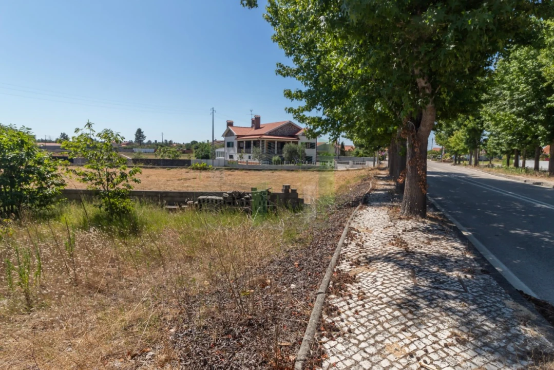 Terreno para Venda em Mira Foto 1