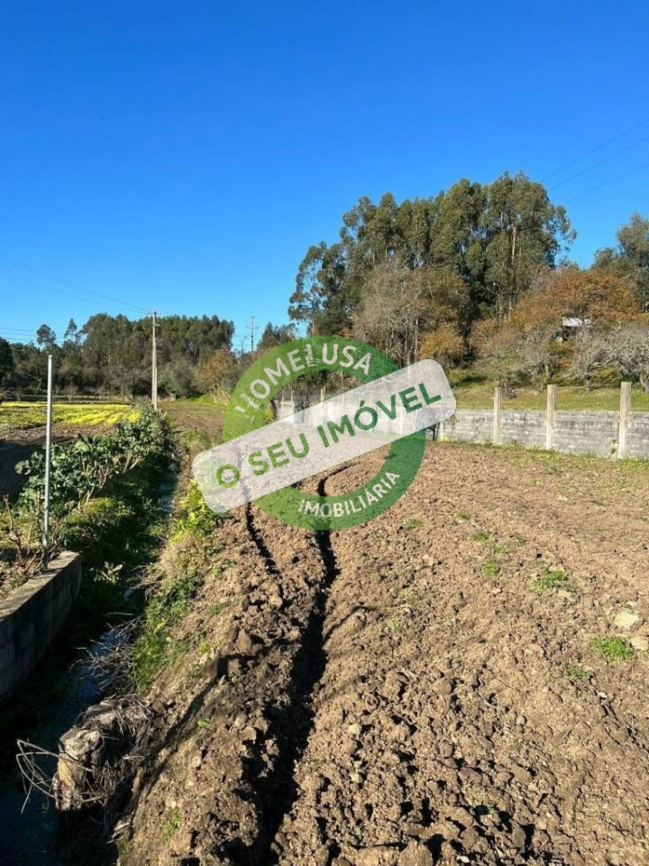 Terreno para Venda em Maiorca Foto 2