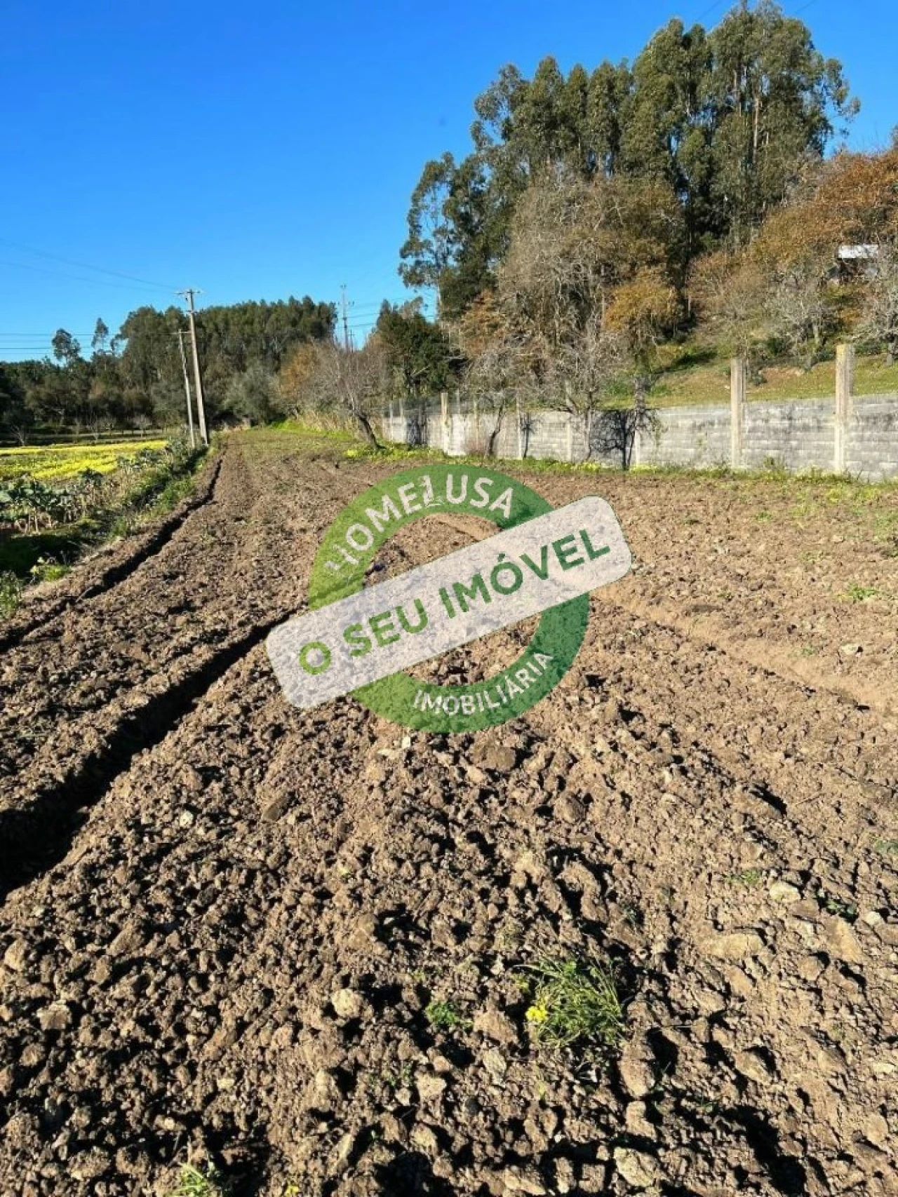 Terreno para Venda em Maiorca Foto 1
