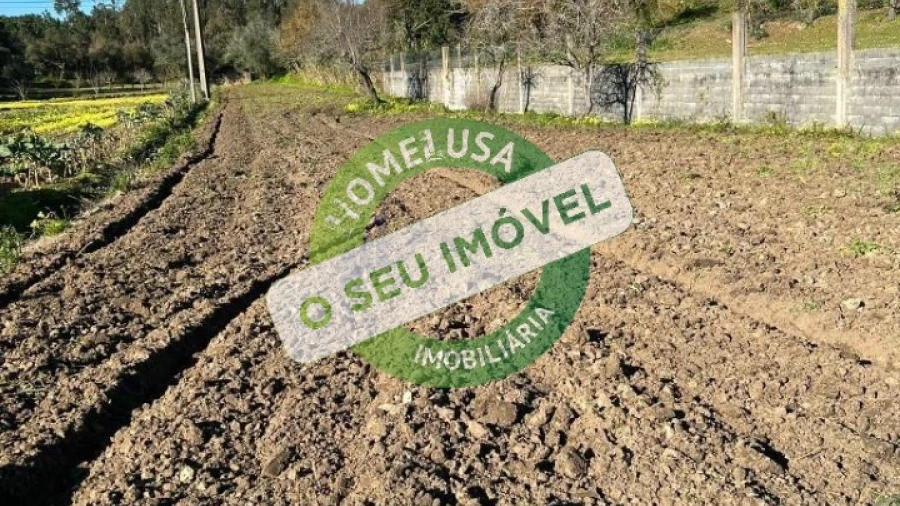 Terreno para Venda em Maiorca