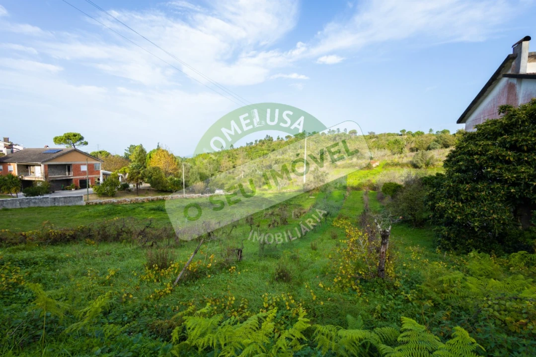 Terreno para Venda em Santa Clara e Castelo Viegas Foto 9
