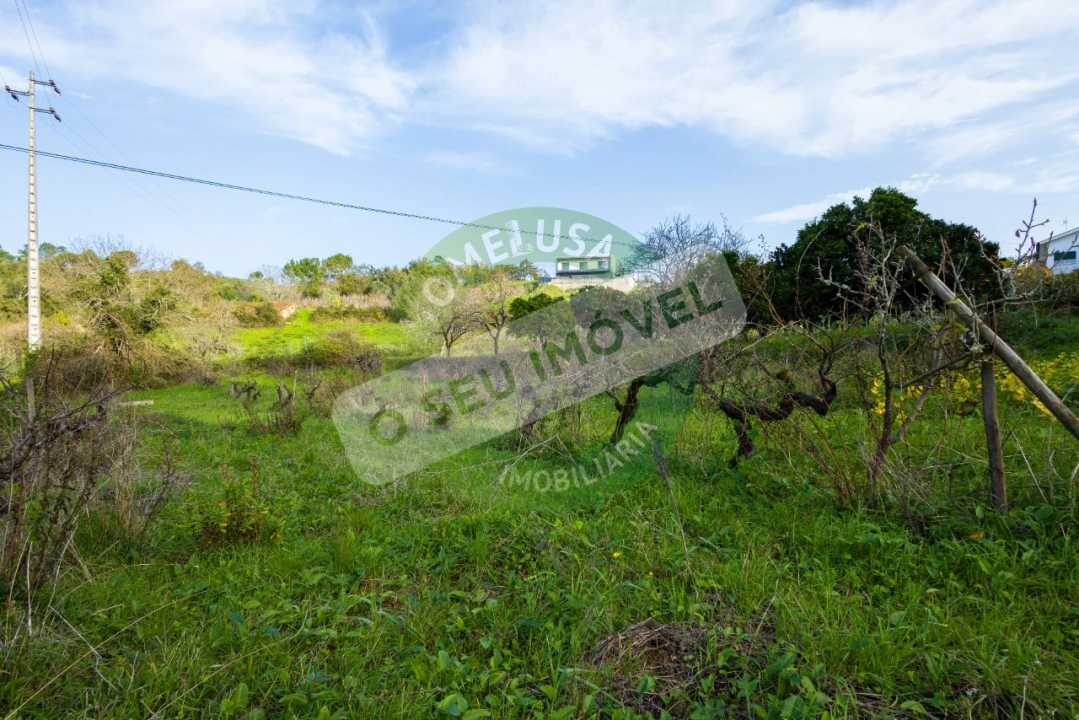 Terreno para Venda em Santa Clara e Castelo Viegas Foto 14