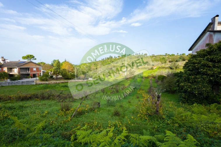 Terreno para Venda em Santa Clara e Castelo Viegas Foto 9