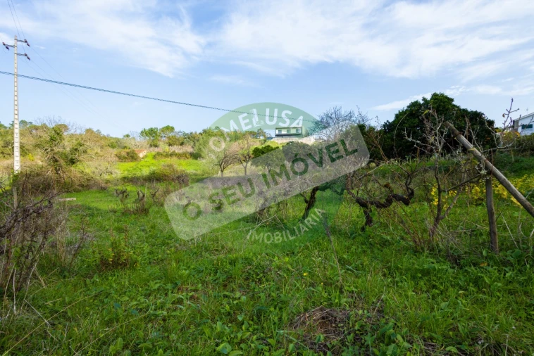Terreno para Venda em Santa Clara e Castelo Viegas Foto 14