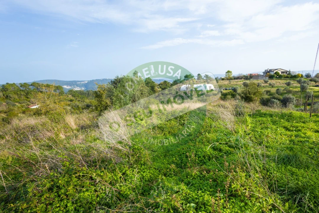Terreno para Venda em Almalagues Foto 10